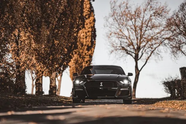 HippoZino Casino Aip Android/iOS